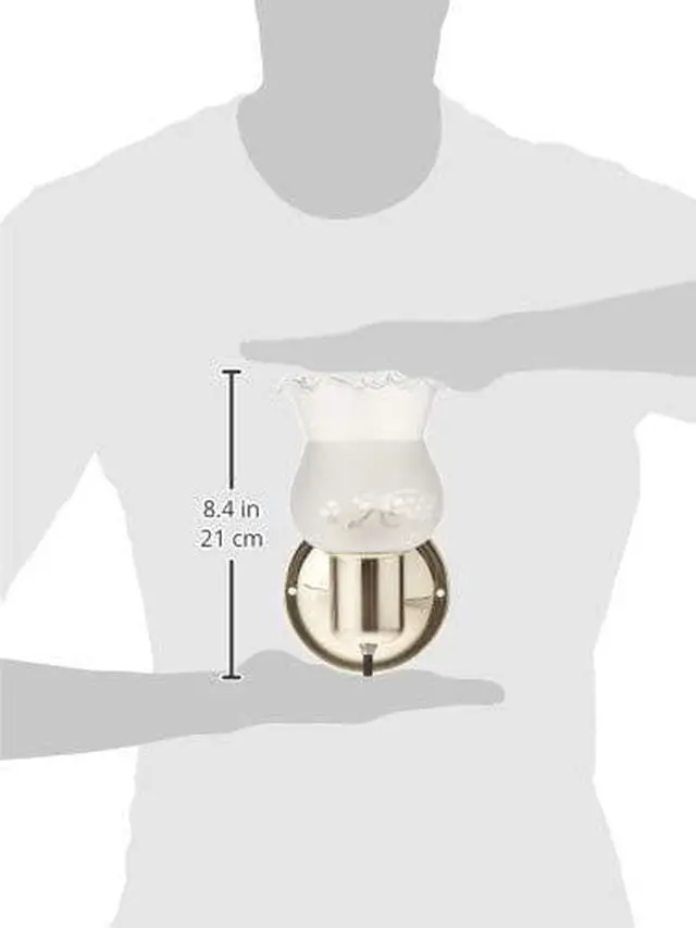 Alt view image 3 of 4 - Nuvo SF77/120B Polished Brass Frosted Grape Shade With Frosted Glass With On/Off Switch
