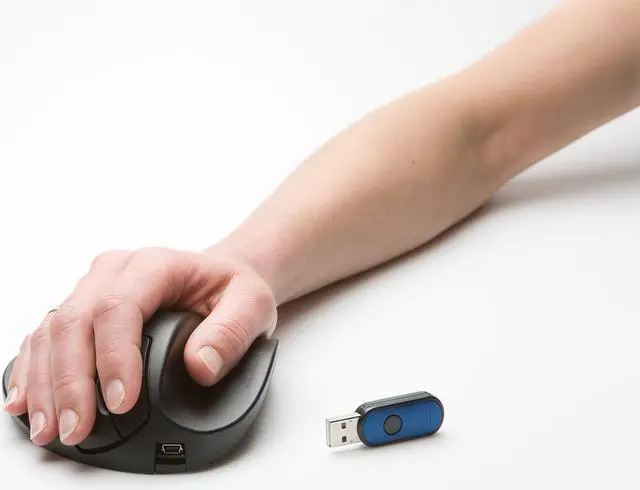 Alt view image 9 of 10 - Handshoe L2ub-Lc Mouse