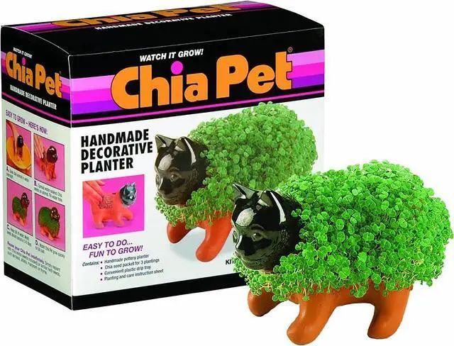 Alt view image 2 of 9 - Chia Pet Planter - Kitten