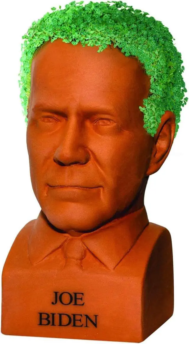 Main image of Joe Biden Chia Pet Decorative Planter