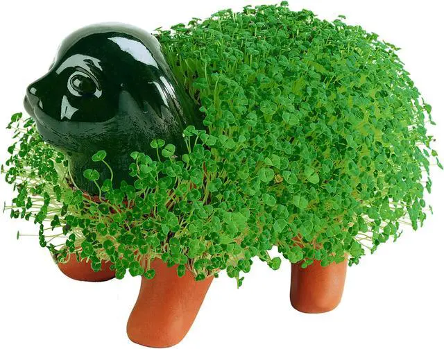 Alt view image 3 of 6 - Chia Pet Planter - Puppy