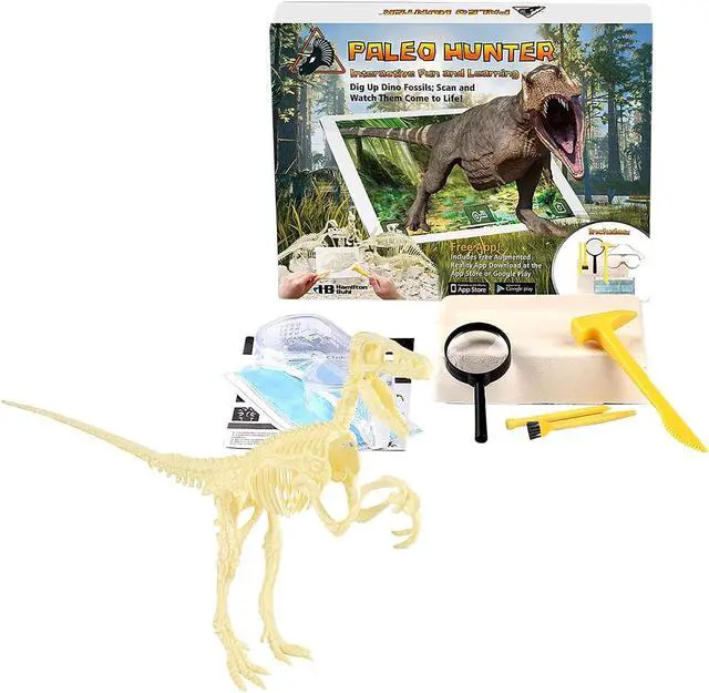 Alt view image 5 of 5 - STEAM Education - HamiltonBuhl Paleo Hunter Dig Kit - Velociraptor Rex