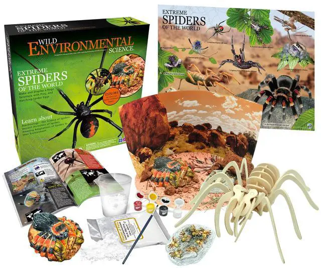 Alt view image 8 of 8 - Learning Advantage WILD! ScienceExtreme Science Kit Spiders of the World for Grade 1+ CTUWES945