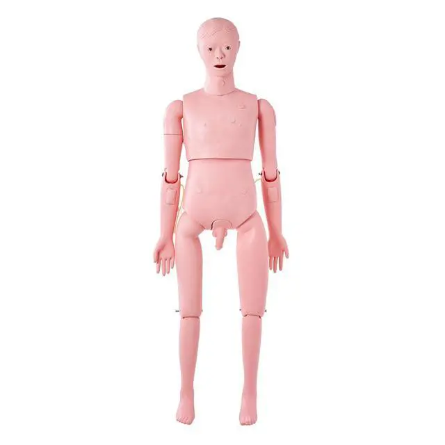 Alt view image 10 of 10 - Nursing Training Manikin, Male Life Size Demonstration Human Manikin for Nursing Training, Multifunctional Education Teaching Model Supplies, PVC Anatomical Mannequin Body Care Simulator Model