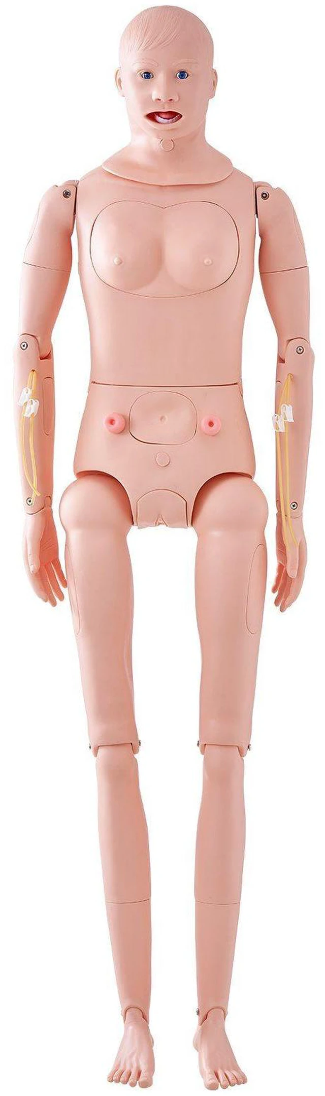 Alt view image 15 of 15 - Nursing Training Manikin, Male/Female Life Size Demonstration Human Manikin for Nursing Training, Multifunctional Education Teaching Model, PVC Anatomical Mannequin Body Care Simulator Model