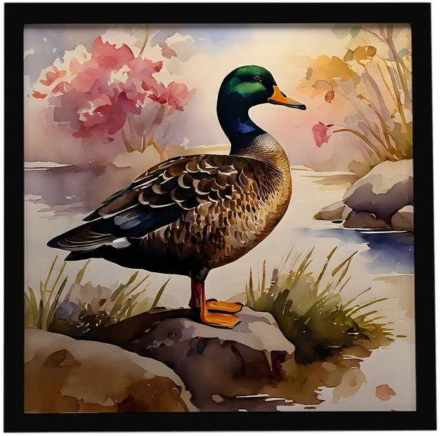 Main image of American Black Duck Framed Metal Print Bathroom, Kitchen, Office, Home Decor Wall Art Ready to Hang, Square, 8X8