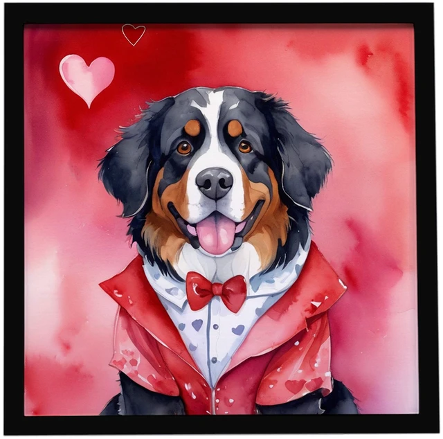 Main image of Bernese Mountain Dog My Valentine Framed Metal Print Bathroom, Kitchen, Office, Home Decor Wall Art Ready to Hang, Square, 8X8