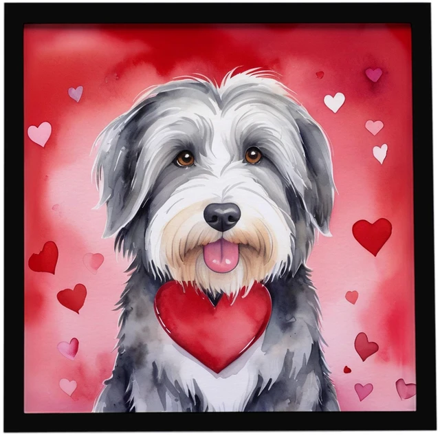 Main image of Bearded Collie My Valentine Framed Metal Print Bathroom, Kitchen, Office, Home Decor Wall Art Ready to Hang, Square, 8X8