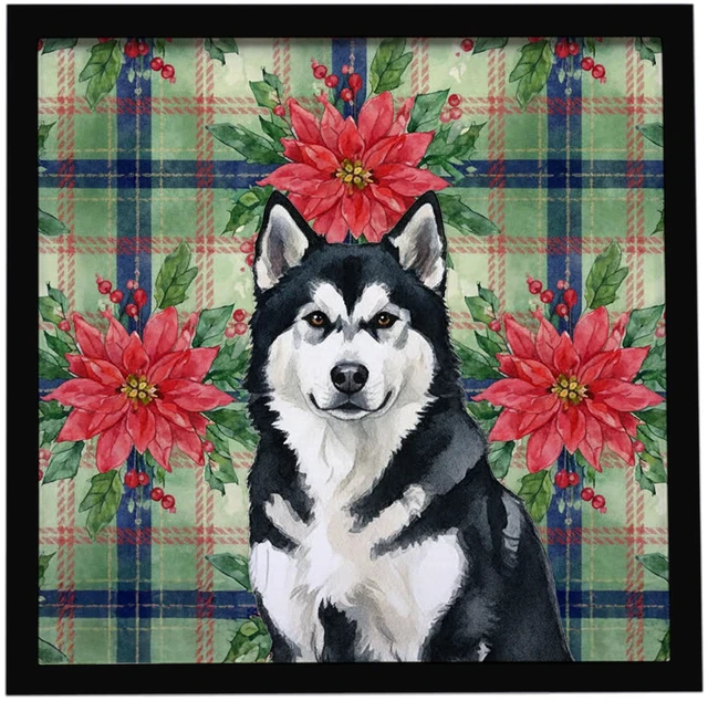 Main image of Black and White Alaskan Malamute Christmas PoinsettIas Framed Metal Print Bathroom, Kitchen, Office, Home Decor Wall Art Ready to Hang, Square, 8X8