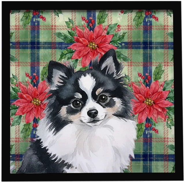 Main image of Black and White Pomeranian Christmas PoinsettIas Framed Metal Print Bathroom, Kitchen, Office, Home Decor Wall Art Ready to Hang, Square, 8X8