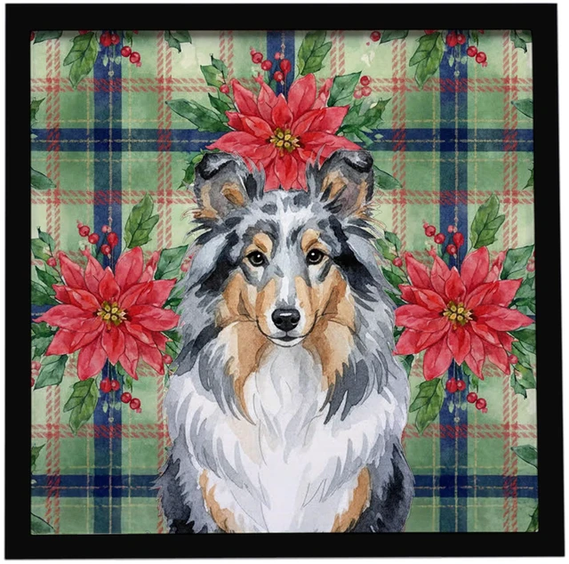Main image of Blue Merle Sheltie Christmas PoinsettIas Framed Metal Print Bathroom, Kitchen, Office, Home Decor Wall Art Ready to Hang, Square, 8X8