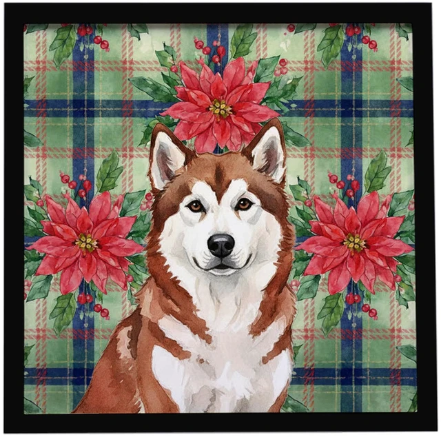 Main image of Red and White Alaskan Malamute Christmas Poinsettas Framed Metal Print Bathroom, Kitchen, Office, Home Decor Wall Art Ready to Hang, Square, 8X8