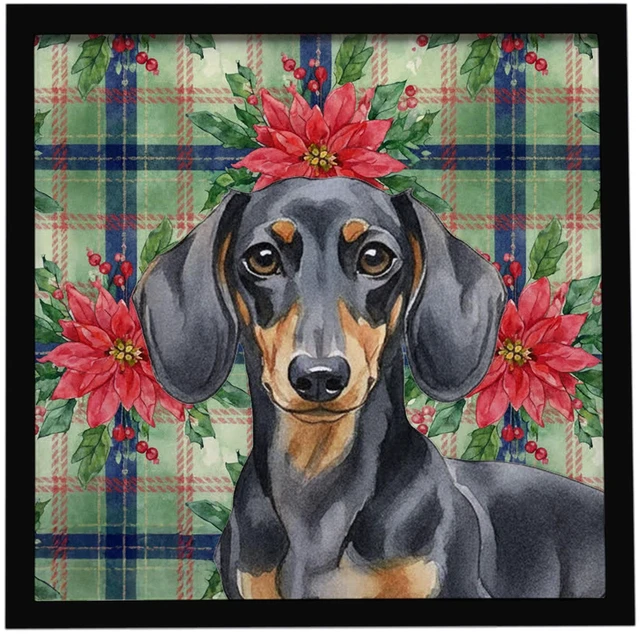 Main image of Black and Tan Dachshund Christmas PoinsettIas Framed Metal Print Bathroom, Kitchen, Office, Home Decor Wall Art Ready to Hang, Square, 8X8