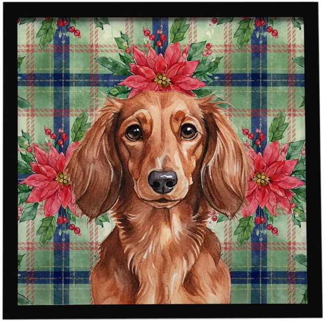Main image of Longhaired Red Dachshund Christmas PoinsettIas Framed Metal Print Bathroom, Kitchen, Office, Home Decor Wall Art Ready to Hang, Square, 8X8