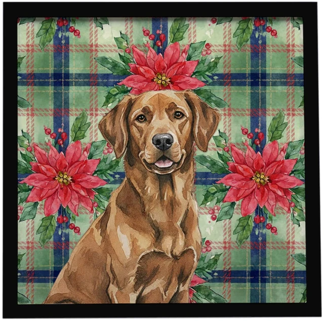 Main image of Chesapeake Bay Retriever Christmas PoinsettIas Framed Metal Print Bathroom, Kitchen, Office, Home Decor Wall Art Ready to Hang, Square, 8X8