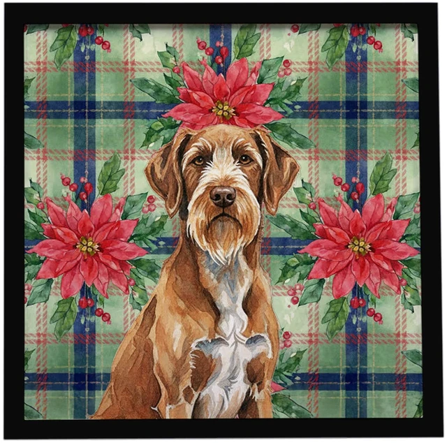 Main image of Wirehaired Pointing Griffon Christmas PoinsettIas Framed Metal Print Bathroom, Kitchen, Office, Home Decor Wall Art Ready to Hang, Square, 8X8