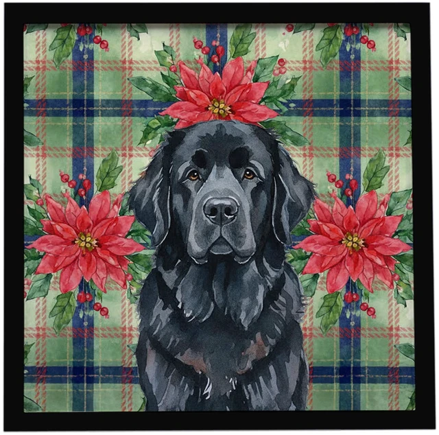 Main image of Black Newfoundland Christmas PoinsettIas Framed Metal Print Bathroom, Kitchen, Office, Home Decor Wall Art Ready to Hang, Square, 8X8