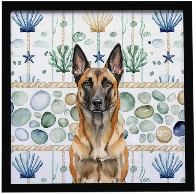 Main image of Belgian Malinois Coastal Sea Glass Framed Metal Print Bathroom, Kitchen, Office, Home Decor Wall Art Ready to Hang, Square, 8X8