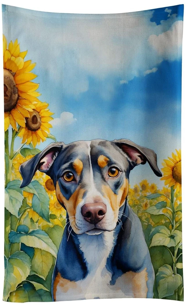 Main image of Catahoula in Sunflowers Kitchen Towel Dish Cloths Guest Hand Towel Decorative Bathroom Towel for Face,Tea, Dishcloth, Kitchen and Bath