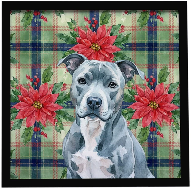 Main image of Blue American Staffordshire Terrier Christmas PoinsettIas Framed Metal Print Bathroom, Kitchen, Office, Home Decor Wall Art Ready to Hang, Square, 8X8