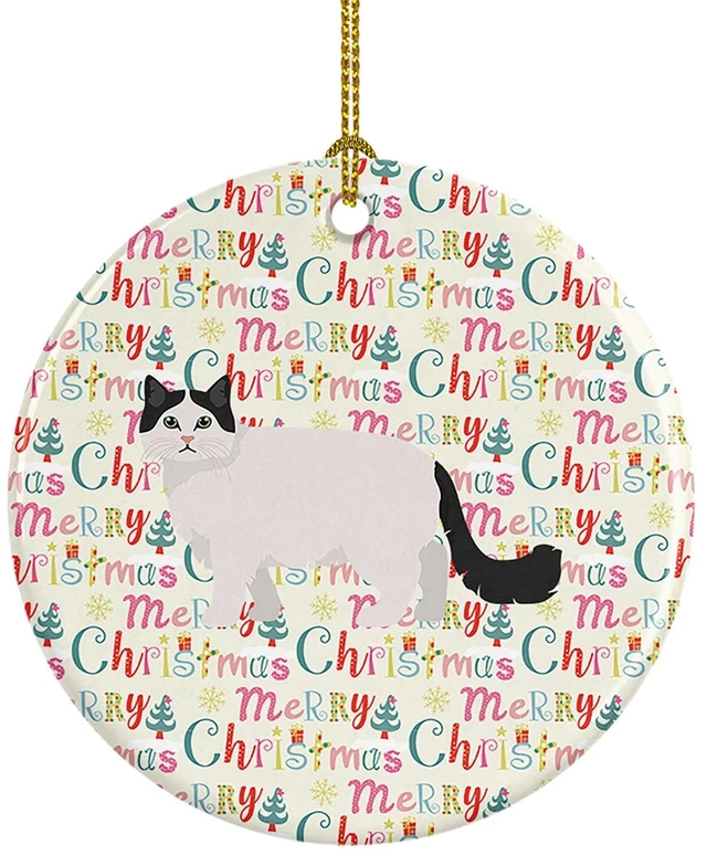 Main image of Ragamuffin #1 Cat Christmas Ceramic Ornament Christmas Tree Hanging Decorations for Home Christmas Holiday, Party, Gift, 3 in, Multicolor