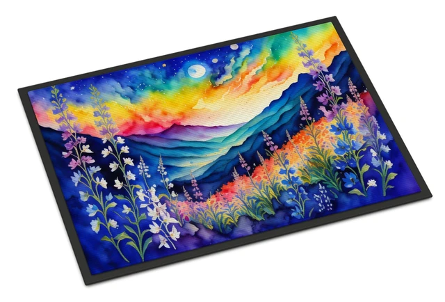 Main image of NEW Delphinium in Color Doormat Front Door Mat Indoor Outdoor Rugs for Entryway, Non Slip Washable Low Pile, 18H X 27W
