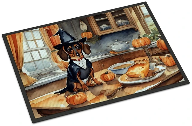 Main image of NEW Dachshund Fall Kitchen Pumpkins Doormat Front Door Mat Indoor Outdoor Rugs for Entryway, Non Slip Washable Low Pile, 18H X 27W