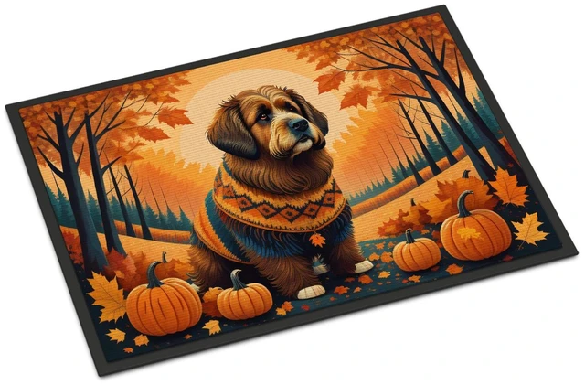 Main image of NEW Briard Fall Doormat Front Door Mat Indoor Outdoor Rugs for Entryway, Non Slip Washable Low Pile, 18H X 27W