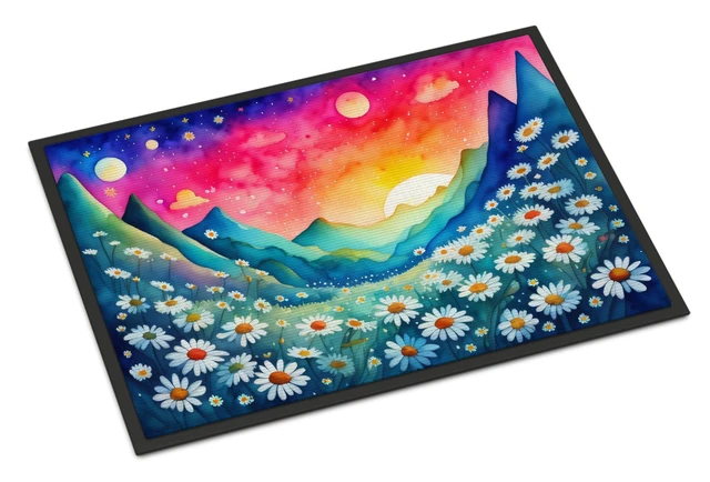 Main image of NEW Daisies in Color Doormat Front Door Mat Indoor Outdoor Rugs for Entryway, Non Slip Washable Low Pile, 18H X 27W