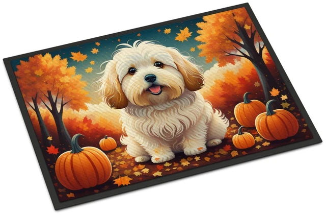 Main image of NEW Coton De Tulear Fall Doormat Front Door Mat Indoor Outdoor Rugs for Entryway, Non Slip Washable Low Pile, 18H X 27W