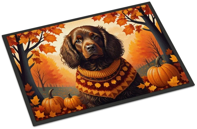 Main image of NEW Boykin Spaniel Fall Doormat Front Door Mat Indoor Outdoor Rugs for Entryway, Non Slip Washable Low Pile, 18H X 27W