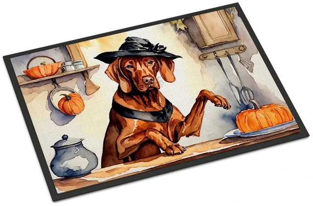 Main image of NEW Vizsla Fall Kitchen Pumpkins Doormat Front Door Mat Indoor Outdoor Rugs for Entryway, Non Slip Washable Low Pile, 18H X 27W