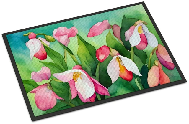 Main image of NEW Minnesota Pink and White Lady s Slippers in Watercolor Doormat Front Door Mat Indoor Outdoor Rugs for Entryway, Non Slip Washable Low Pile, 18H X 27W