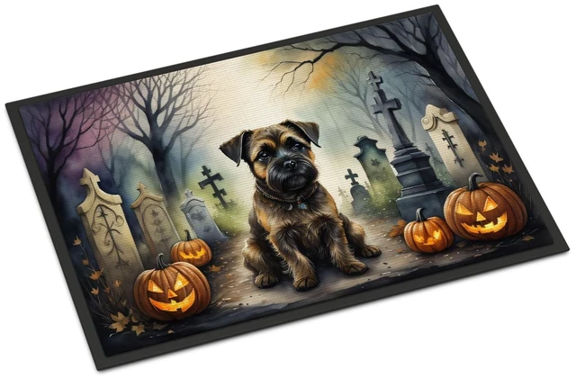 Main image of NEW Border Terrier Spooky Halloween Doormat Front Door Mat Indoor Outdoor Rugs for Entryway, Non Slip Washable Low Pile, 18H X 27W