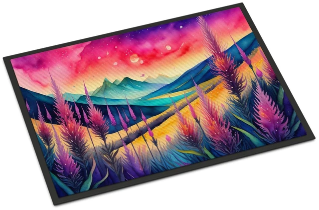 Main image of NEW Liatris in Color Doormat Front Door Mat Indoor Outdoor Rugs for Entryway, Non Slip Washable Low Pile, 18H X 27W