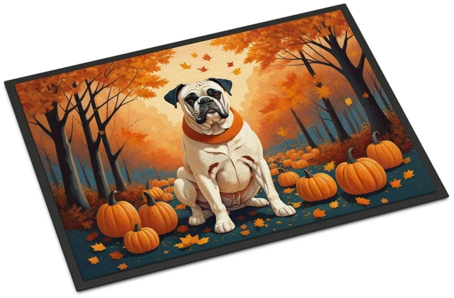 Main image of NEW White Boxer Fall Doormat Front Door Mat Indoor Outdoor Rugs for Entryway, Non Slip Washable Low Pile, 18H X 27W