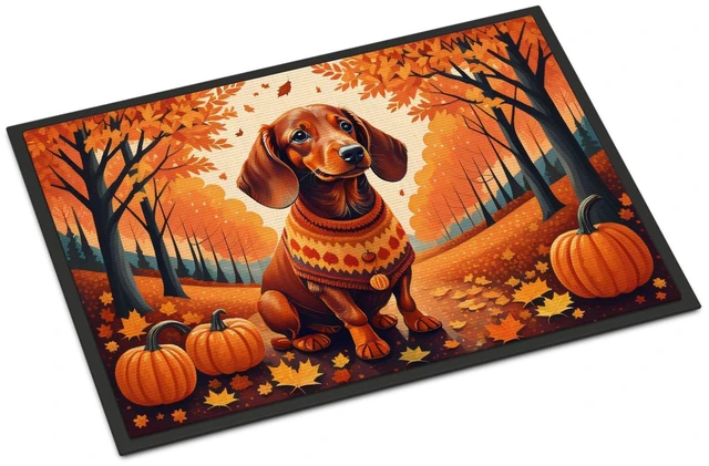 Main image of NEW Dachshund Fall Doormat Front Door Mat Indoor Outdoor Rugs for Entryway, Non Slip Washable Low Pile, 18H X 27W
