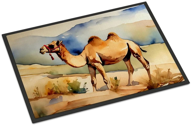 Main image of NEW Camel Doormat Front Door Mat Indoor Outdoor Rugs for Entryway, Non Slip Washable Low Pile, 18H X 27W
