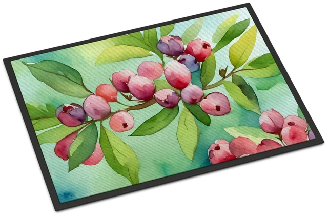 Main image of NEW Connecticut Mountain Laurels in Watercolor Doormat Front Door Mat Indoor Outdoor Rugs for Entryway, Non Slip Washable Low Pile, 18H X 27W