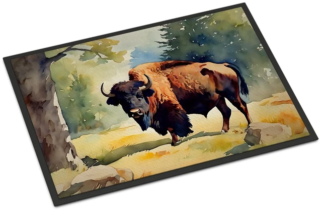 Main image of NEW American Bison Doormat Front Door Mat Indoor Outdoor Rugs for Entryway, Non Slip Washable Low Pile, 18H X 27W