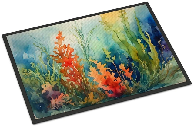 Main image of NEW Seaweed Doormat Front Door Mat Indoor Outdoor Rugs for Entryway, Non Slip Washable Low Pile, 18H X 27W