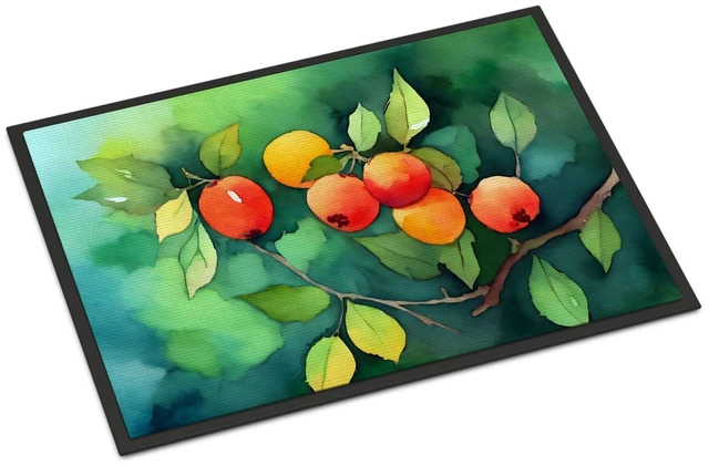 Main image of NEW Missouri Hawthorns in Watercolor Doormat Front Door Mat Indoor Outdoor Rugs for Entryway, Non Slip Washable Low Pile, 18H X 27W
