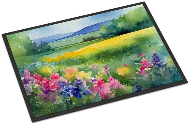 Main image of NEW Massachusetts Mayflowers in Watercolor Doormat Front Door Mat Indoor Outdoor Rugs for Entryway, Non Slip Washable Low Pile, 18H X 27W