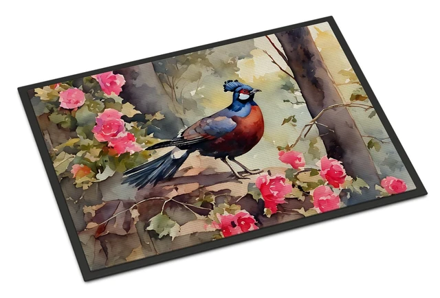 Main image of NEW Pheasant Doormat Front Door Mat Indoor Outdoor Rugs for Entryway, Non Slip Washable Low Pile, 18H X 27W