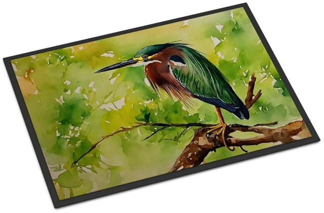 Main image of NEW Green Heron Doormat Front Door Mat Indoor Outdoor Rugs for Entryway, Non Slip Washable Low Pile, 18H X 27W