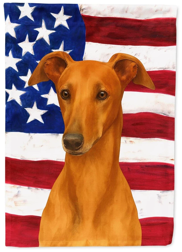 Main image of Red Greyhound American Flag Garden Flag Mailbox Decorative Yard Banner Outside Patio Artwork for Flower Beds, Garden Size, Multi
