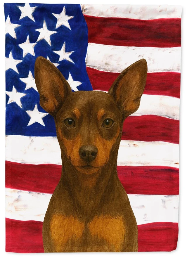 Main image of Chocolate and Rust Miniature Pinscher American Flag Garden Flag Mailbox Decorative Yard Banner Outside Patio Artwork for Flower