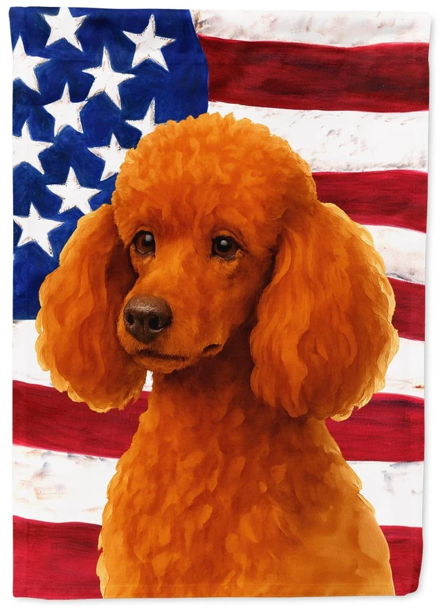 Main image of Red Miniature Poodle American Flag Garden Flag Mailbox Decorative Yard Banner Outside Patio Artwork for Flower Beds, Garden Size
