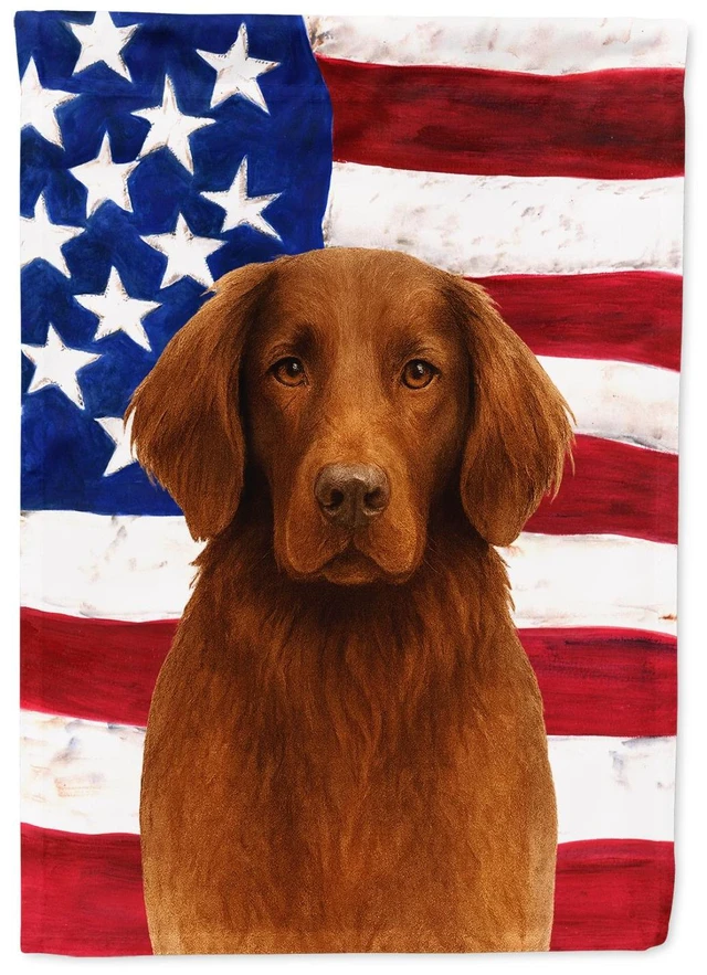 Main image of Liver FlatCoated Retriever American Flag Garden Flag Mailbox Decorative Yard Banner Outside Patio Artwork for Flower Beds, Gard