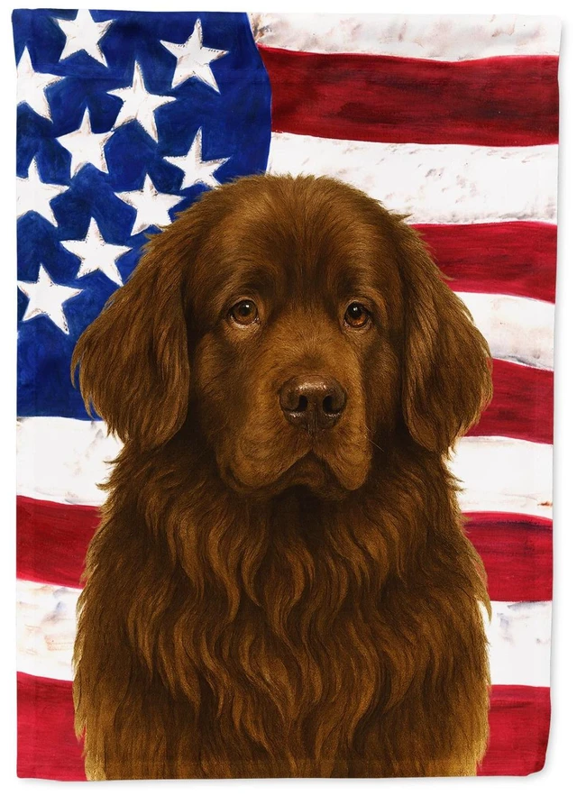 Main image of Brown Newfoundland American Flag Garden Flag Mailbox Decorative Yard Banner Outside Patio Artwork for Flower Beds, Garden Size,